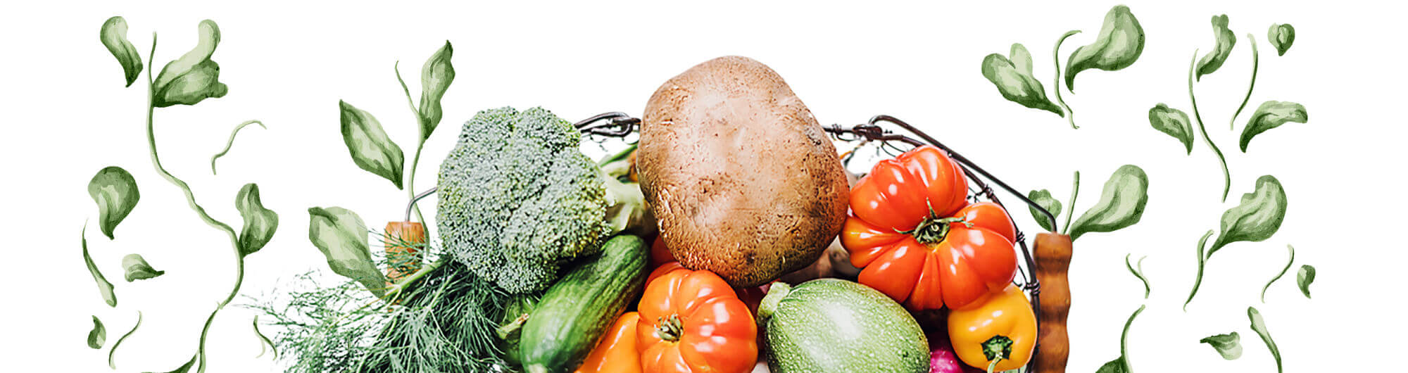 organic-farming-illustrations-03